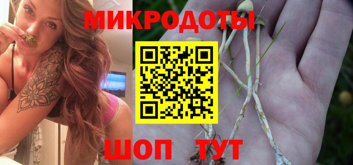 Псилоцибиновые грибы мухоморы Узловая